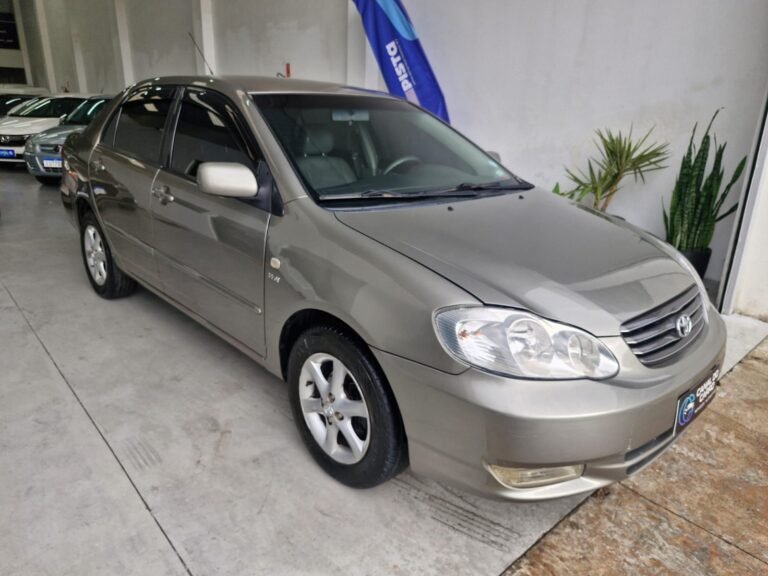 WhatsApp Image 2026-01-21 at 15.50.30 (3)