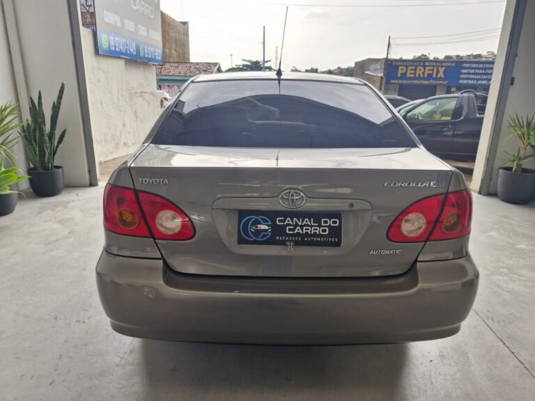 WhatsApp Image 2026-01-21 at 15.50.31