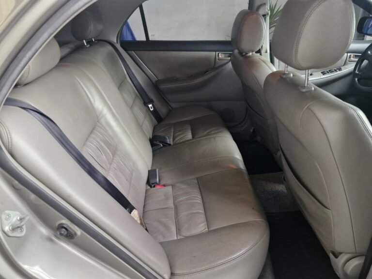 WhatsApp Image 2026-01-21 at 15.50.32 (1)